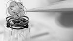 Première tourbillon volant - atelier d'horlogerie 3